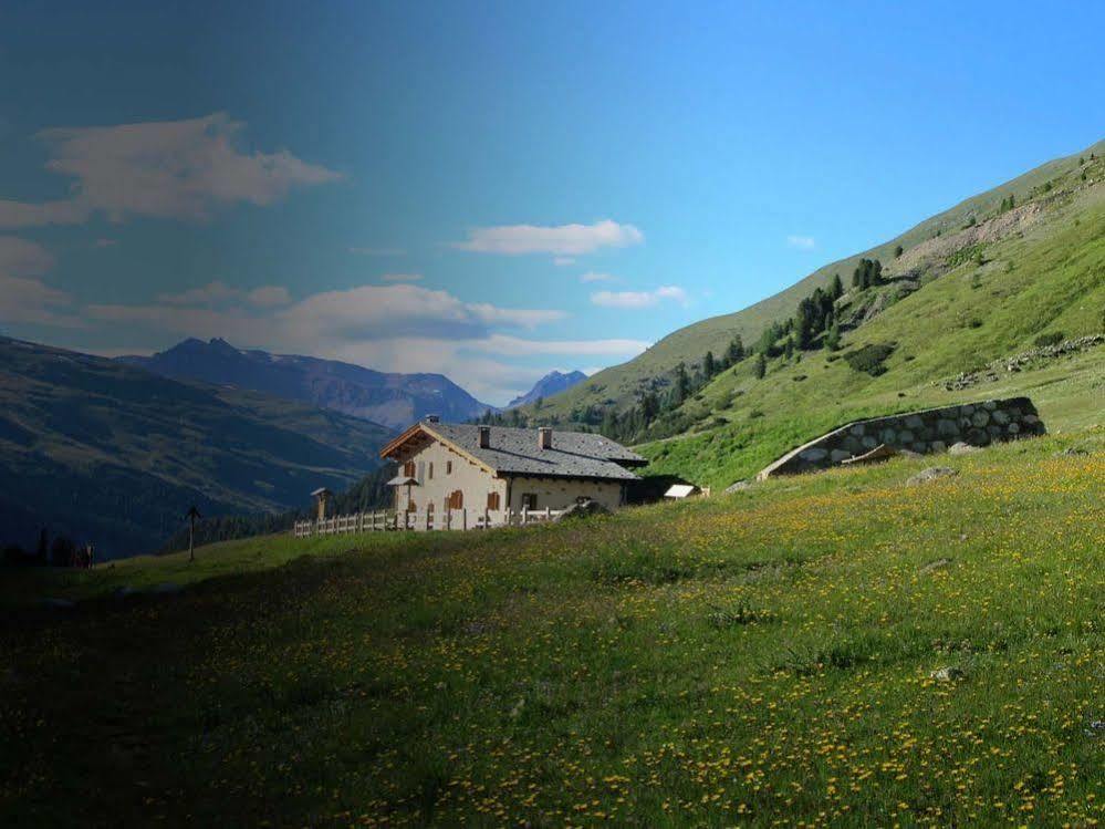 白塔蒙大拿州4*Livigno
